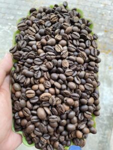 Cà phê Robusta S18