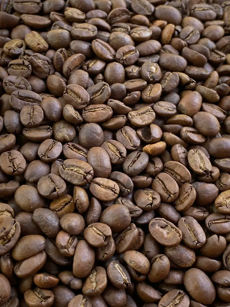 Phân biệt Arabica và Robusta