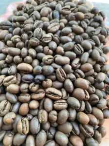 Cà phê culi