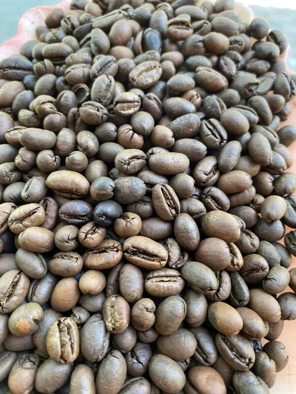 Cà phê culi