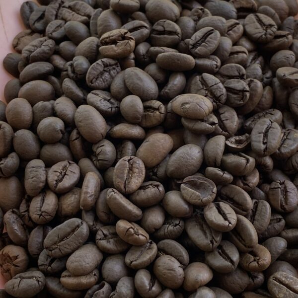 Robusta Honey - Medium roast