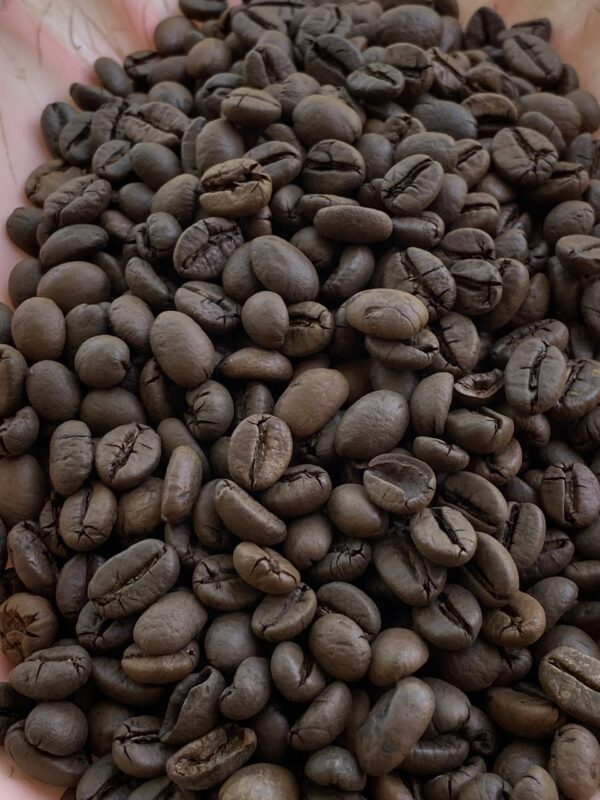 Robusta Honey - Medium roast